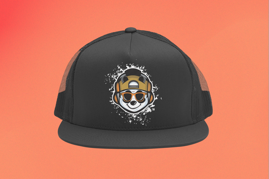 My Panda Radio Hat